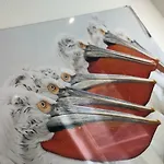 Nieuwpoortnachten Res. Westdiep Dominique * نيوبورت