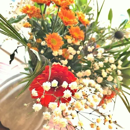 Nieuwpoortnachten Res. Westdiep Dominique Nieuwpoort