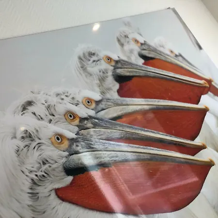 Nieuwpoortnachten Res. Westdiep Dominique * Nieuwpoort