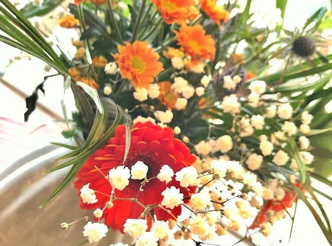 Nieuwpoortnachten Res. Westdiep Dominique Nieuwpoort