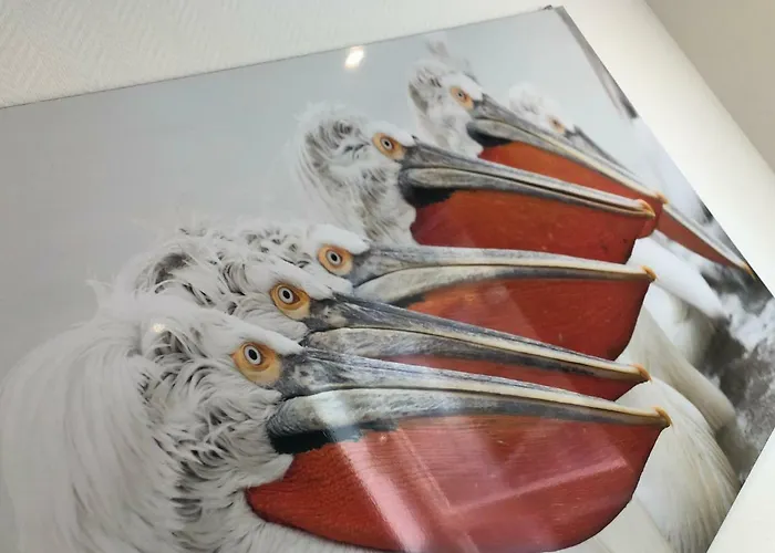 Nieuwpoortnachten Res. Westdiep Dominique * Nieuwpoort